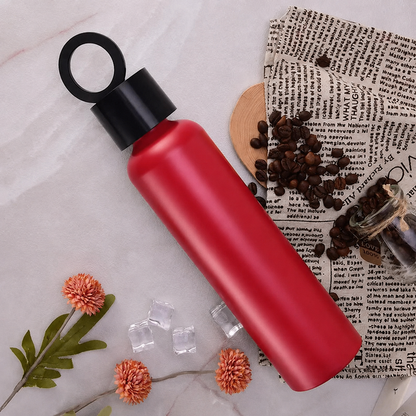 Premium Vacuum Insulated Water Bottle with Phone Holder